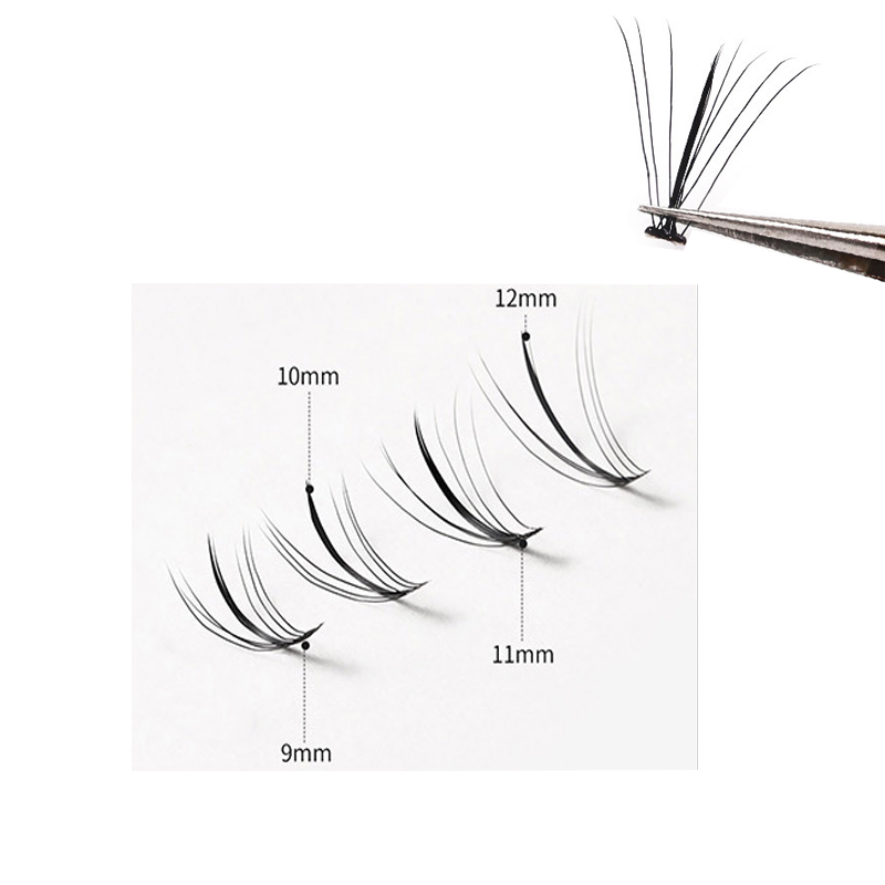 Anlinnet NEW Japanese And Kore - Eyelash Extension Japanese Style review and price