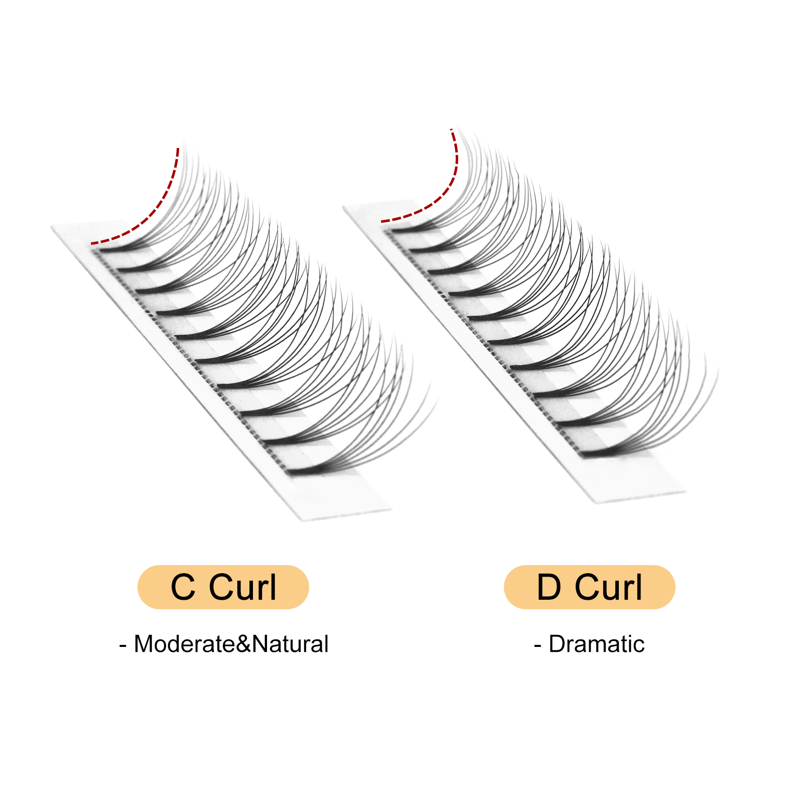 Quewel Premade Fans Lashes 8D/ - Lash Fan Volume review and price