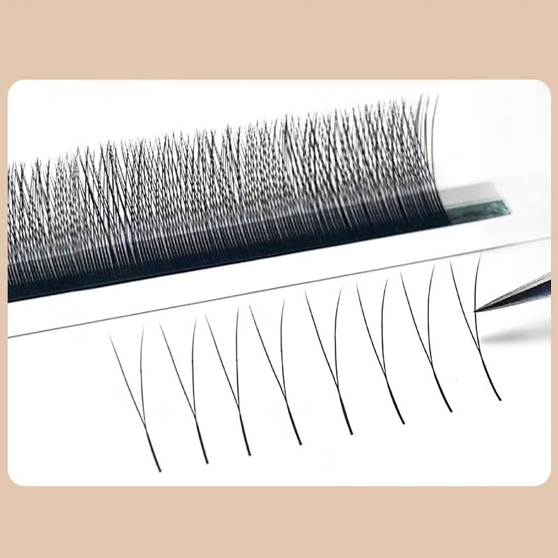 MARIA 2D Y Shape Eyelashes Han - Eyelash Extension For Asian Eyes review and price